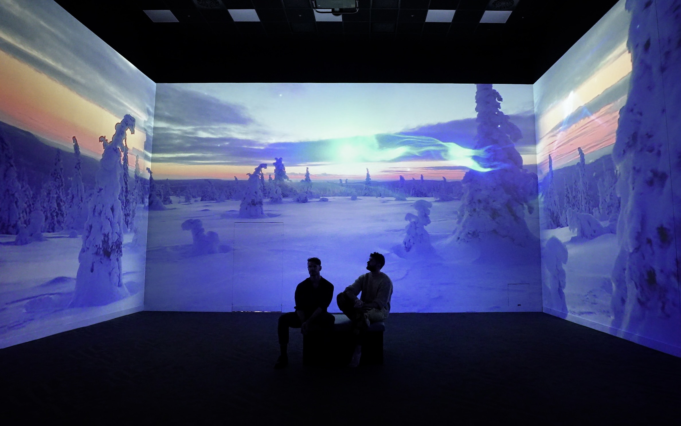 Detail of luminous particle forms layered over natural landscapes in Sol Bound I